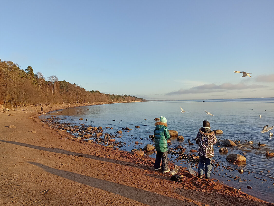 Дети кормят птиц. Финский залив. - Лилия *