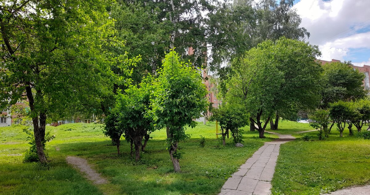 Вспоминая прошлый май . - Мила Бовкун Вспоминая прошлый май . - Мила Бовкун