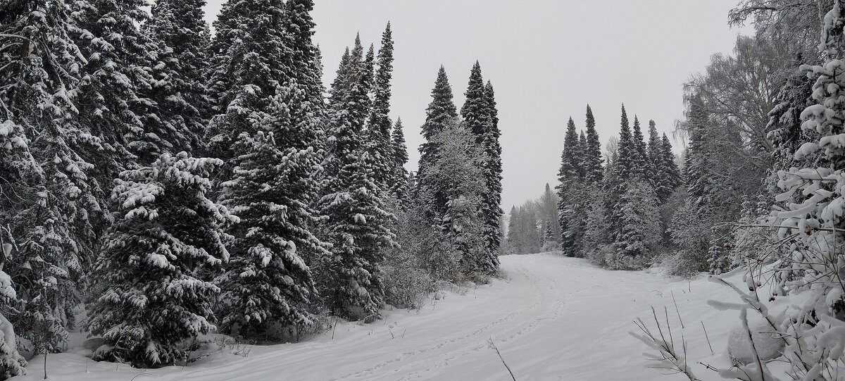 Снежный день!!! - Радмир Арсеньев