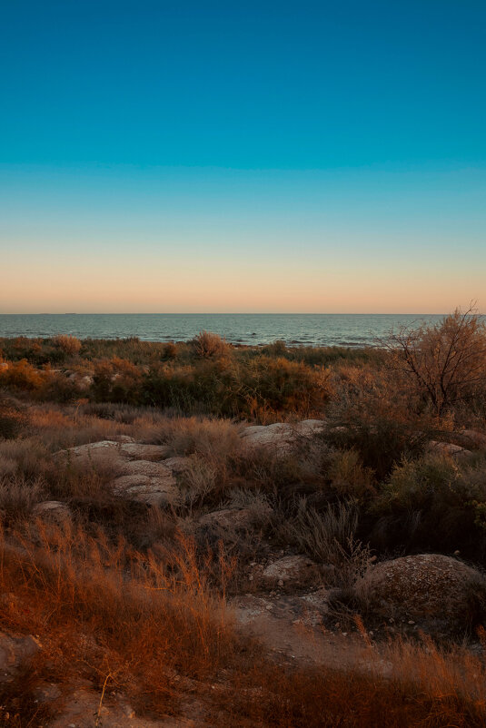 *** - Елена Алексеева