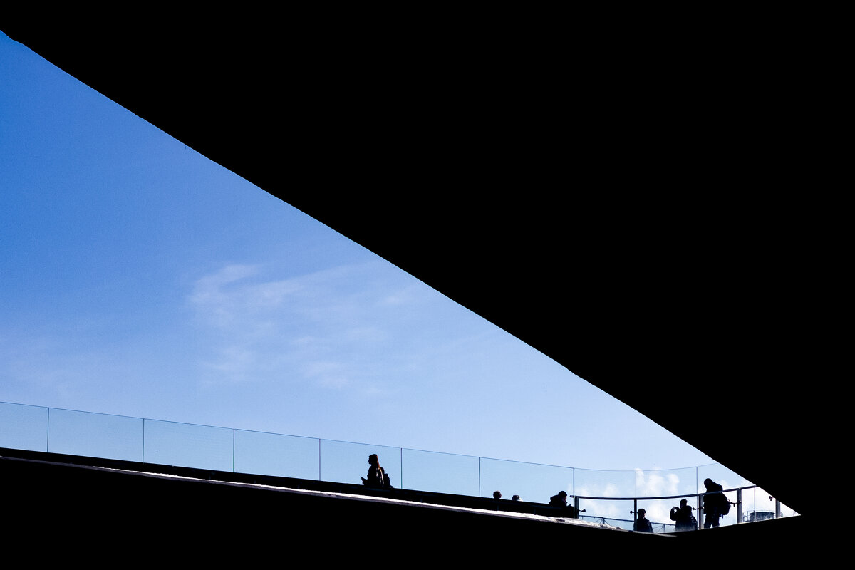 * - Сергей Полянский