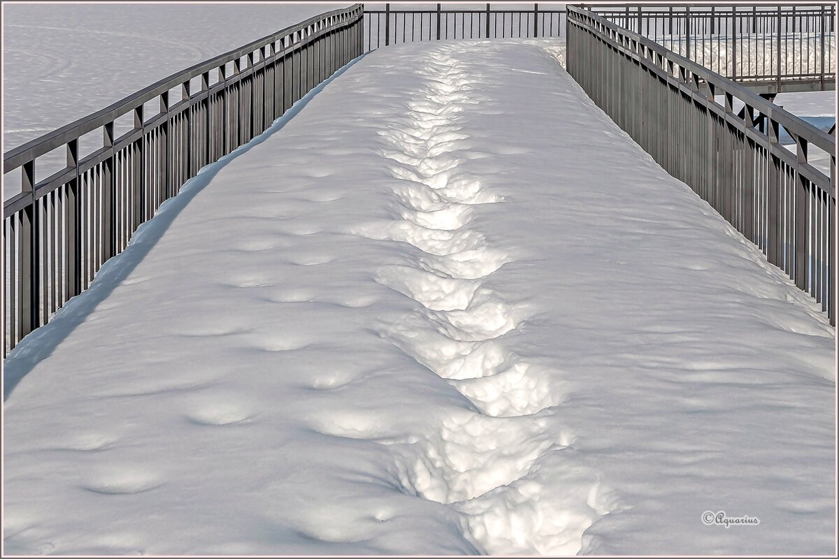 Про робкую весну... - Aquarius - Сергей