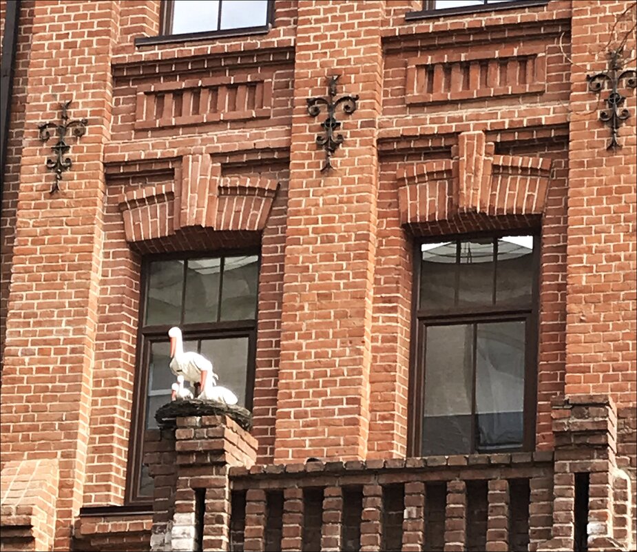 Центр семейного здоровья! - Надежда 