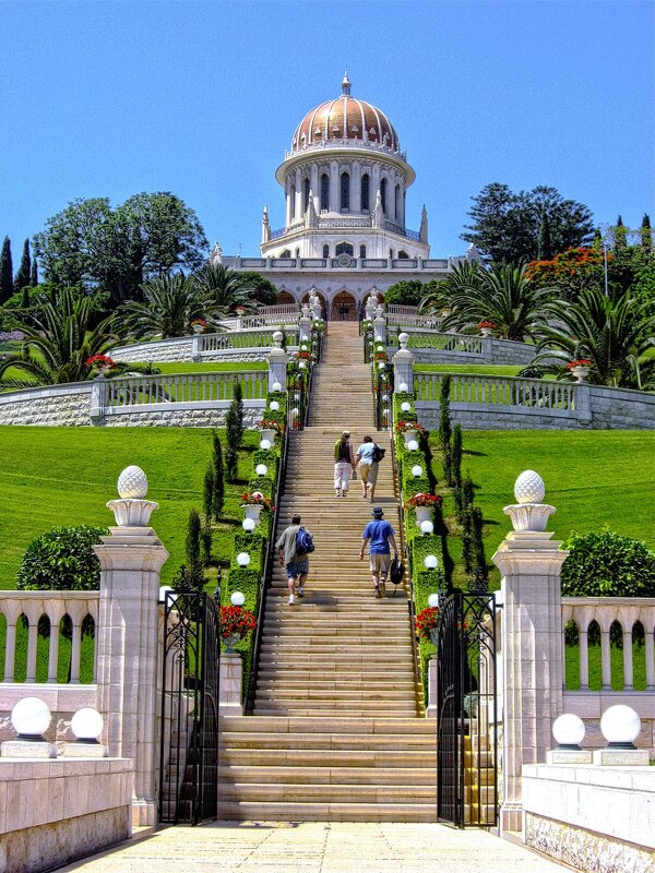 хайфа - ujgcvbif 