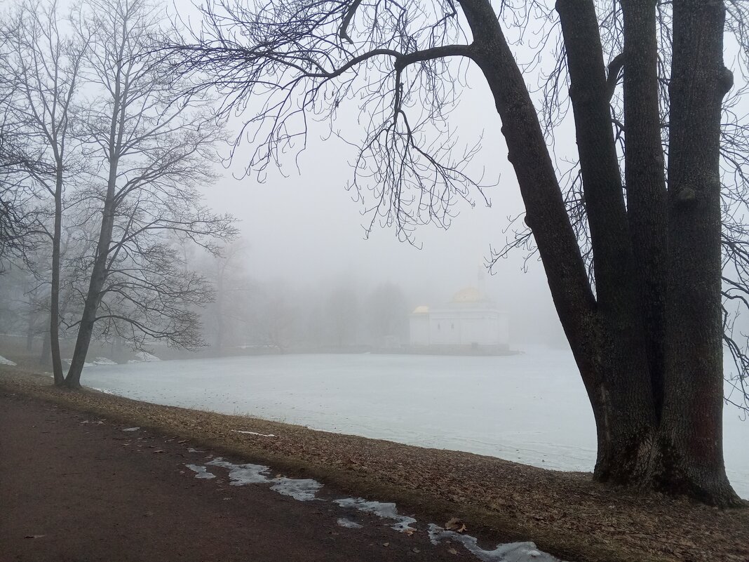 Туман - Сапсан 