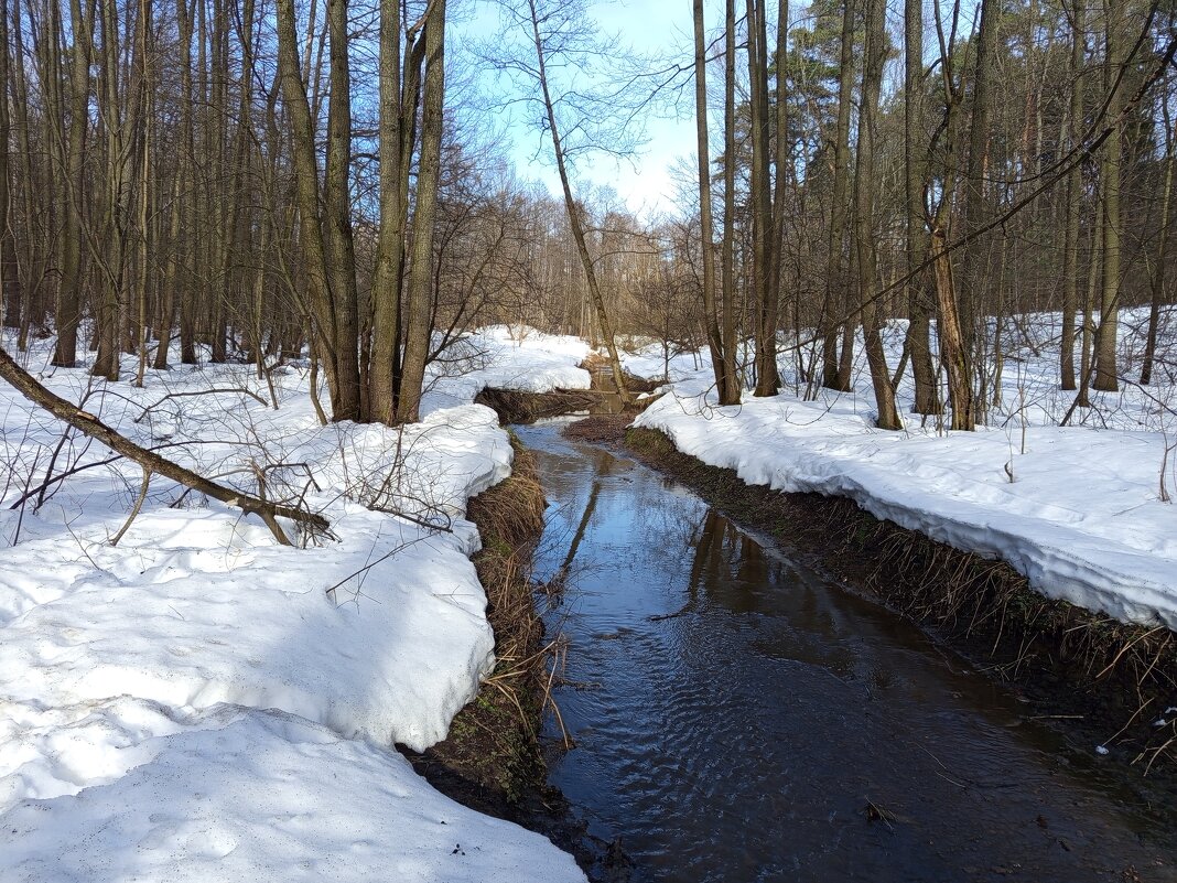 Март в Измайловском парке - Андрей Лукьянов