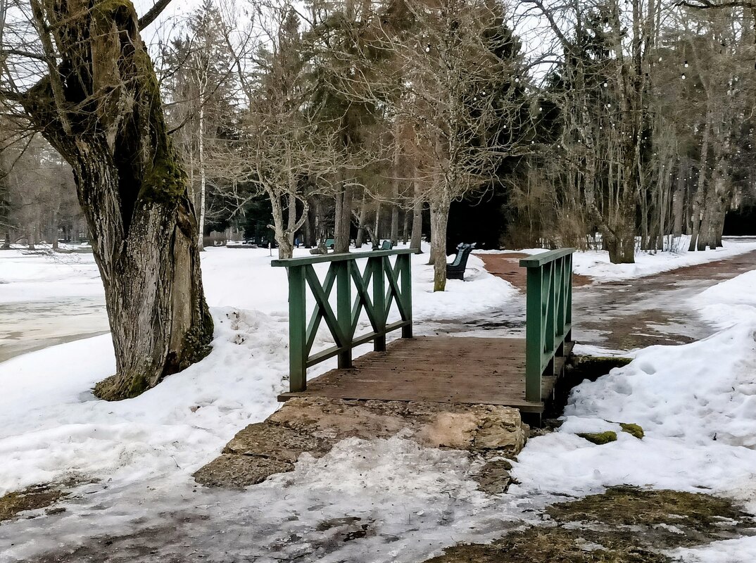 Прогулка в Нарва-Йыэсуу - Veera V