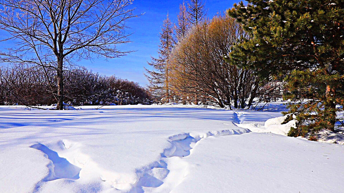 Март...Весна света в церковном парке! - Владимир 