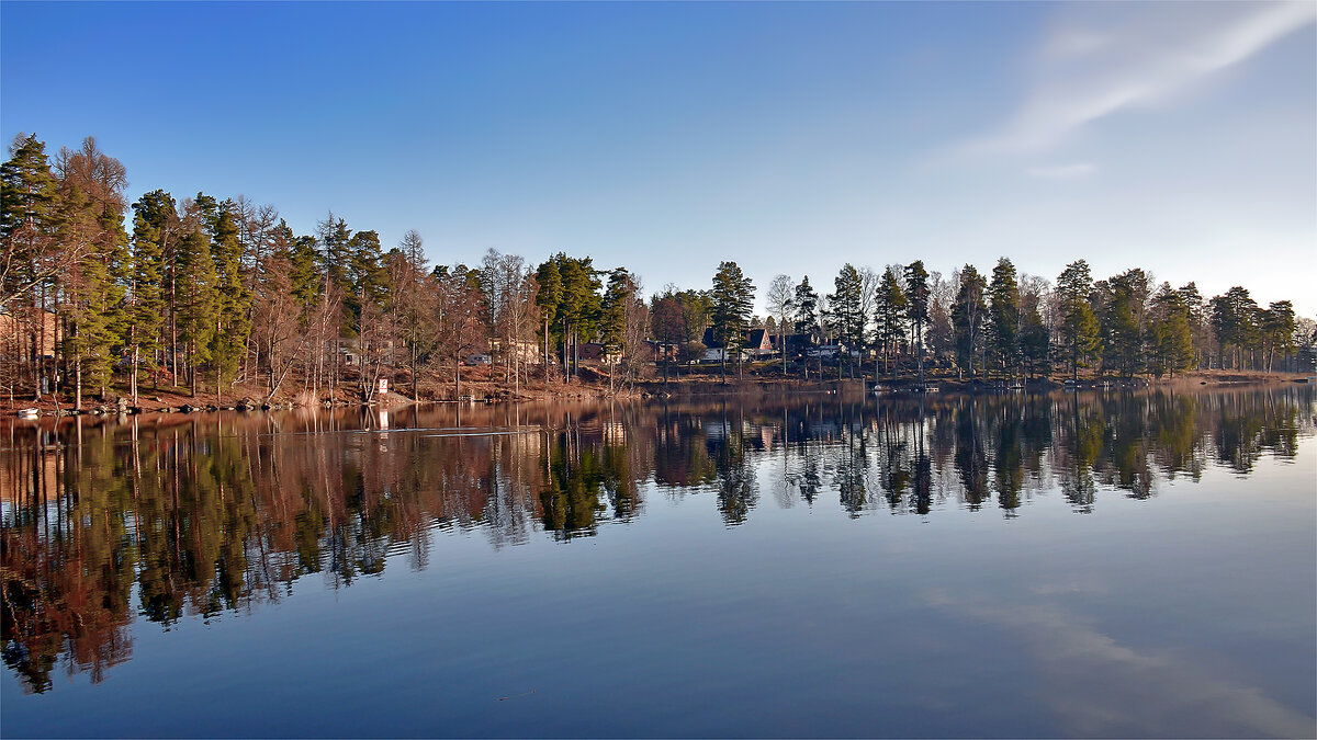 Пока что "серый лебедь" - Alexandеr P