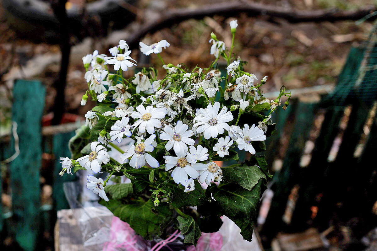 Букет - Юрий Гайворонскiий