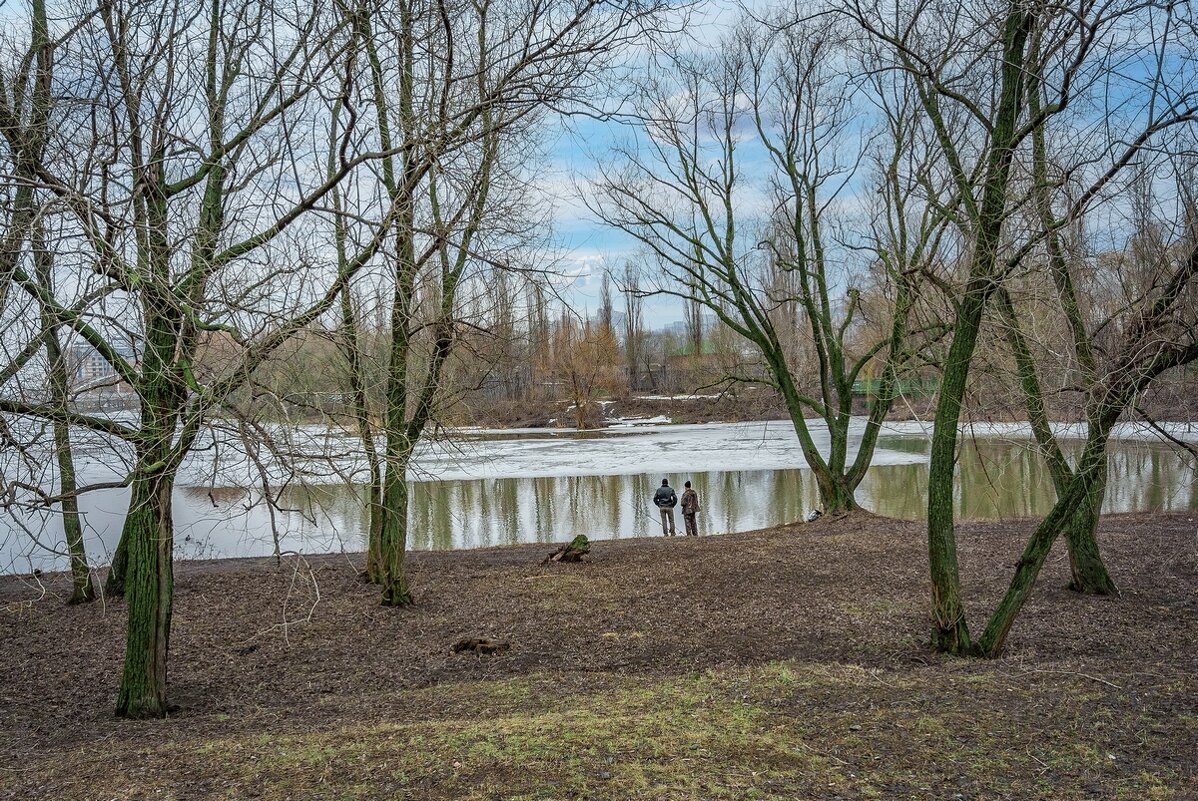 Дыхание весны ... - Ravile 