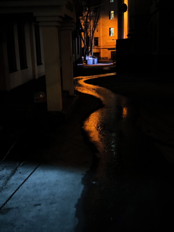 * - Сергей Полянский