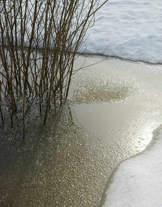 Весенний сюжет - Сергей Курников