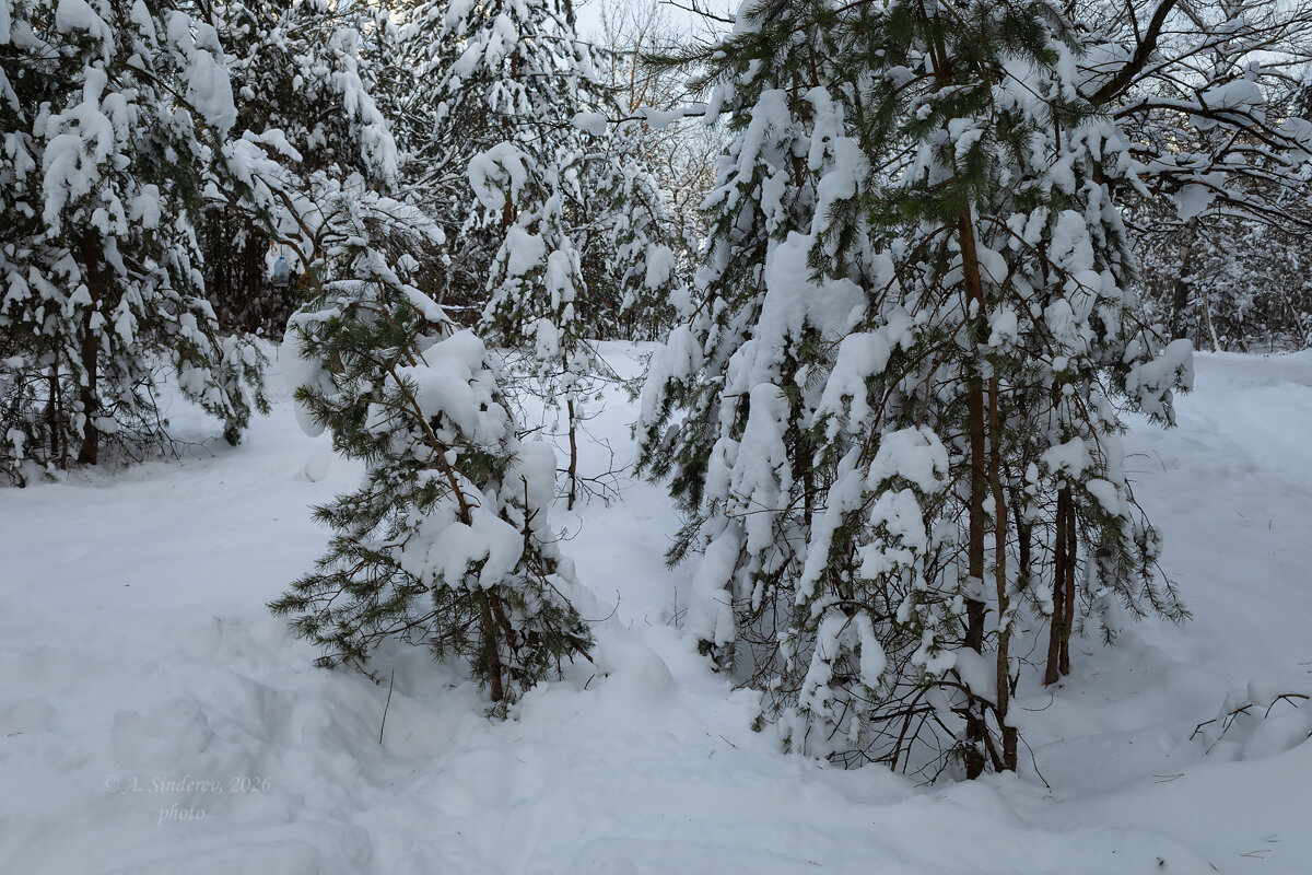 Зимний пейзаж - Александр Синдерёв