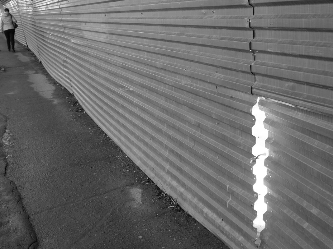 Просвет - Сергей Матвеенко