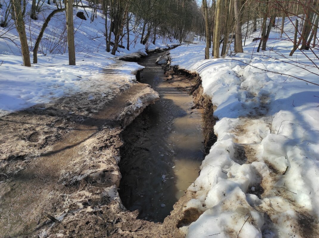 Река Городня - Игорь Ч.