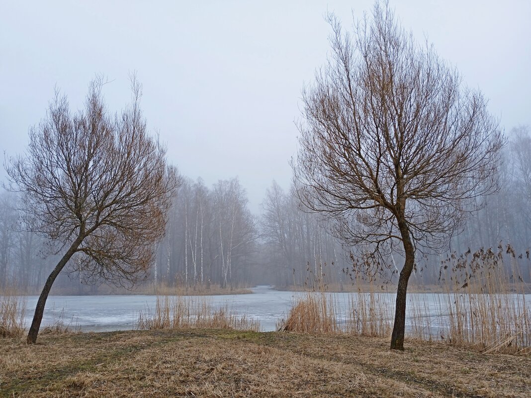 Встретились два одиночества... - Лия ☼