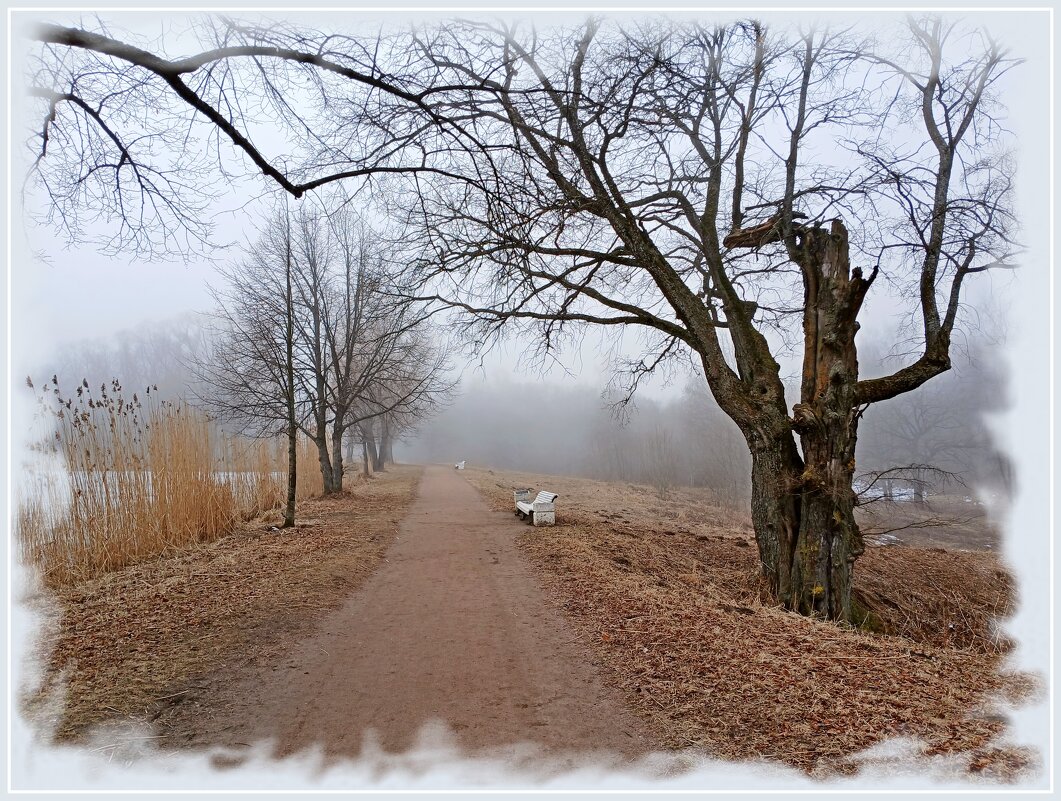 Дорога в тумане. - Лия ☼