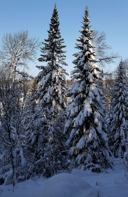 Зима - Радмир Арсеньев