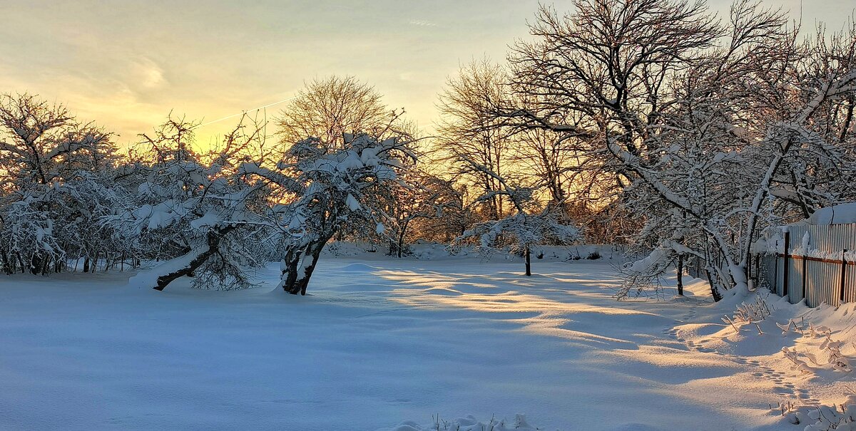 Зима - Анатолий Портнов