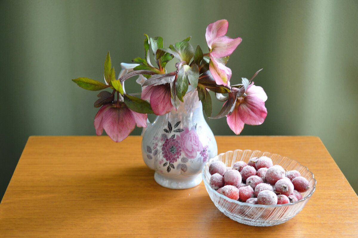 боярышник и морозник - Надежда Куркина 