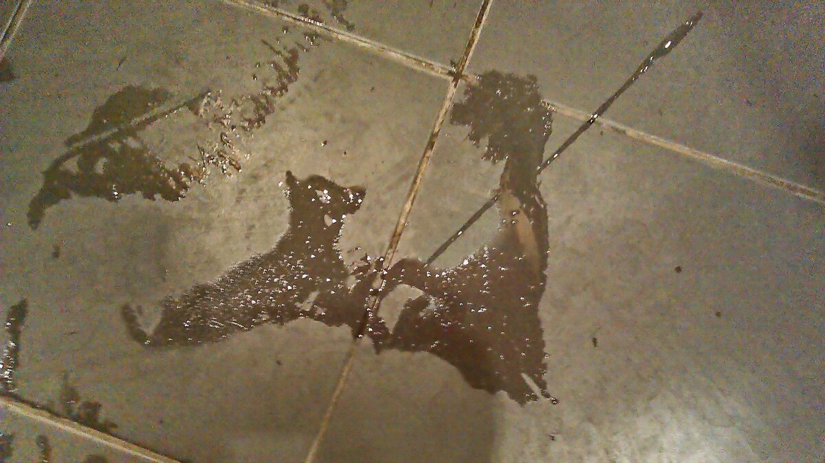 ПАСТУХ НА ПРИВАЛЕ - Юрий Вовк