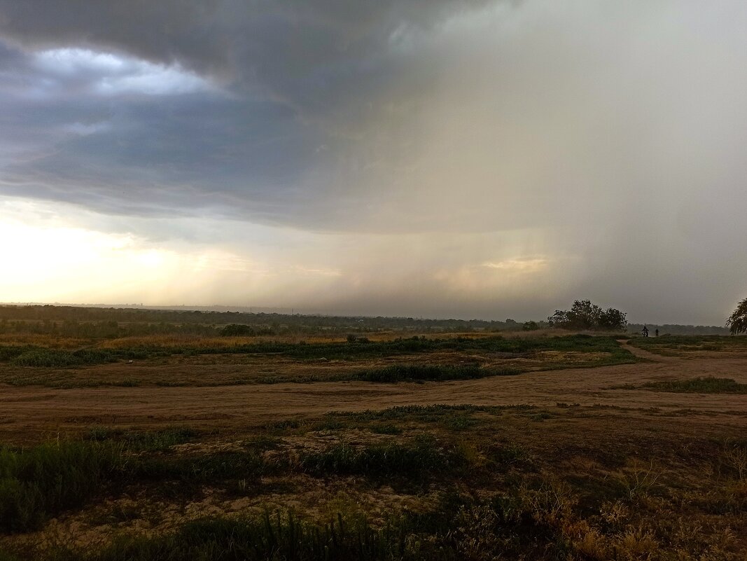 Перед ливнем - svk *