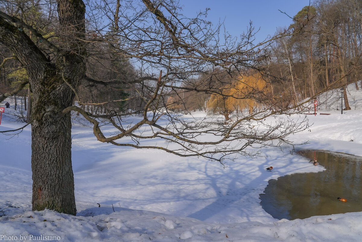 Март в Царицыно... - Владимир Жданов
