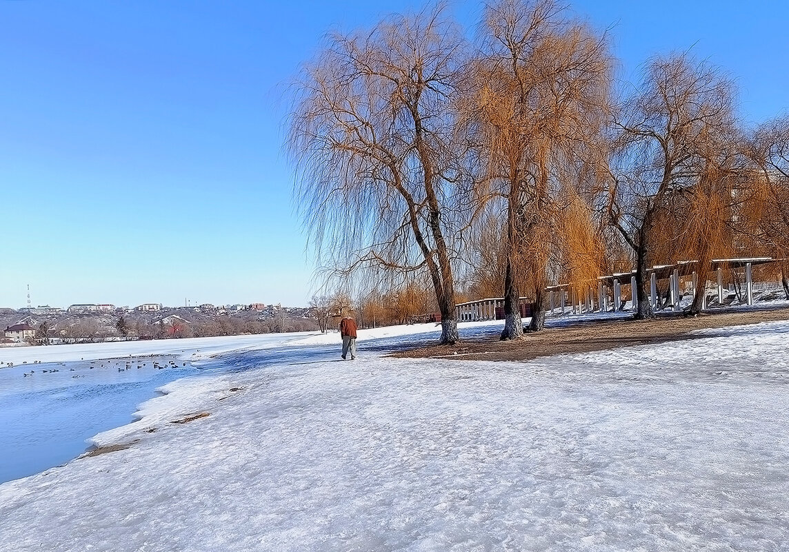Весна зимняя или Зима весенняя... - Валентина  Нефёдова 