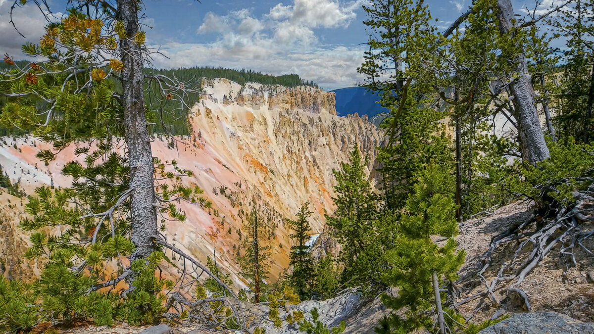 Йеллоустон - Aleksey Afonin