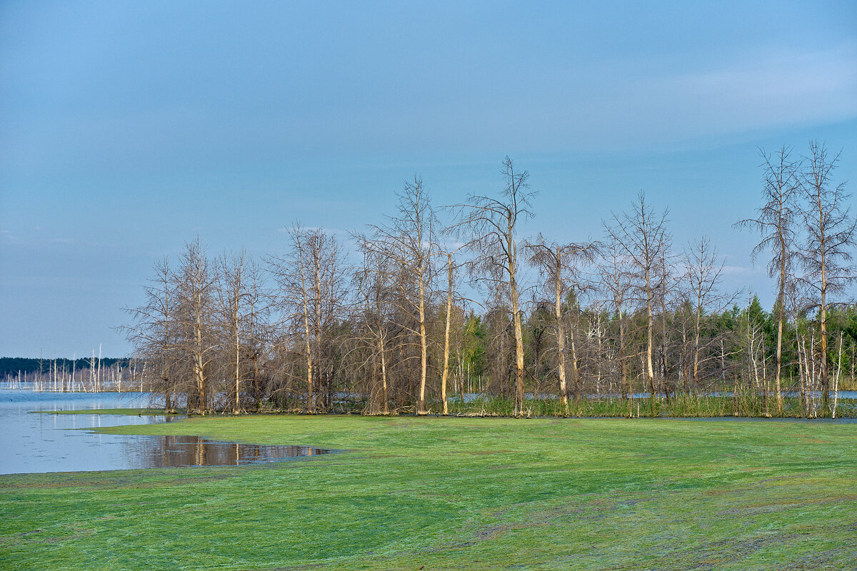 Алтай - край тысячи озер - Дмитрий Конев