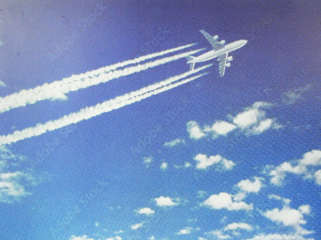 В полёте - Людмила Смородинская