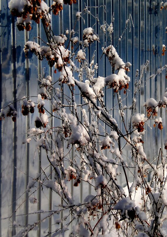 Детали природы - Роман Савоцкий