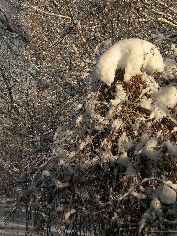 Детали природы - Роман Савоцкий