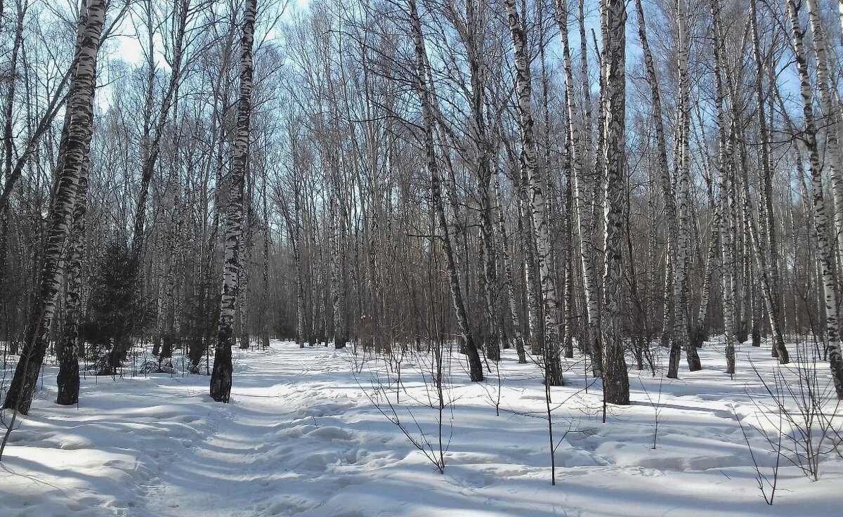 В городском парке - Галина Нестратова В городском парке - Галина Нестратова