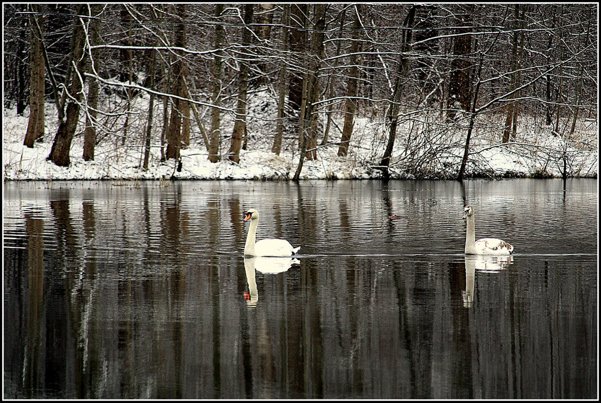 Зима заканчивается... - Aleksandr Gal