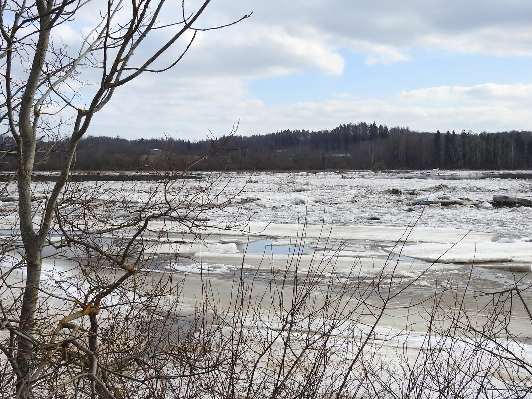 весна.ледоход - ИННА ПОРОХОВА