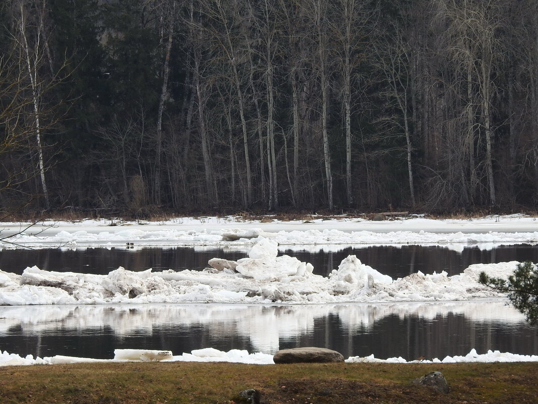 весна.ледоход - ИННА ПОРОХОВА