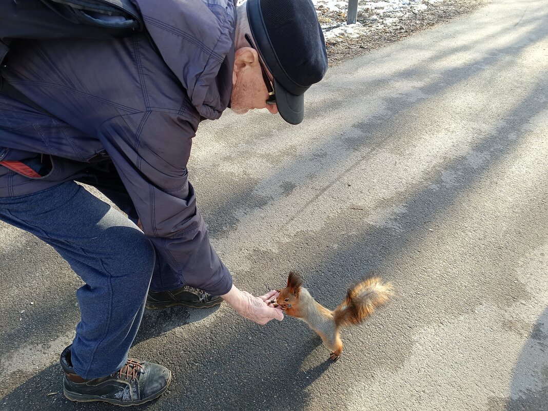 Встреча с белкой - Мария Васильева