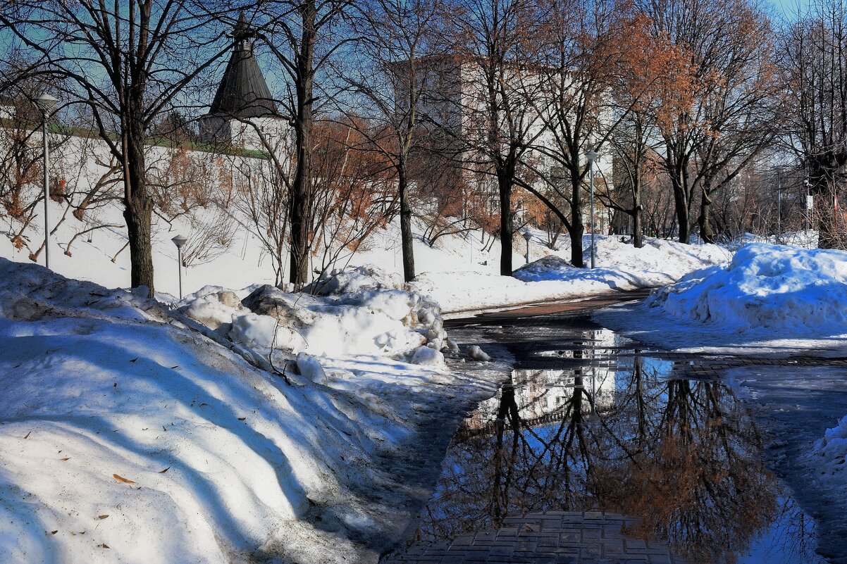 Оживает задремавшая природа. - Татьяна Помогалова