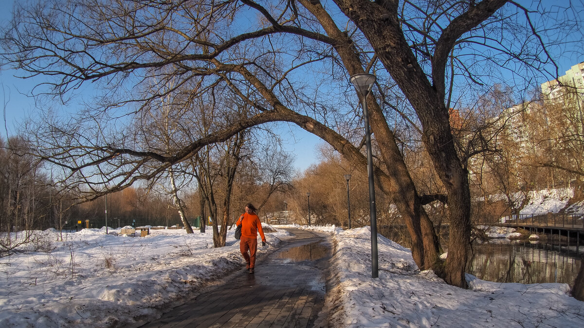 Прогулки в Весеннем Парке - юрий поляков Прогулки в Весеннем Парке - юрий поляков