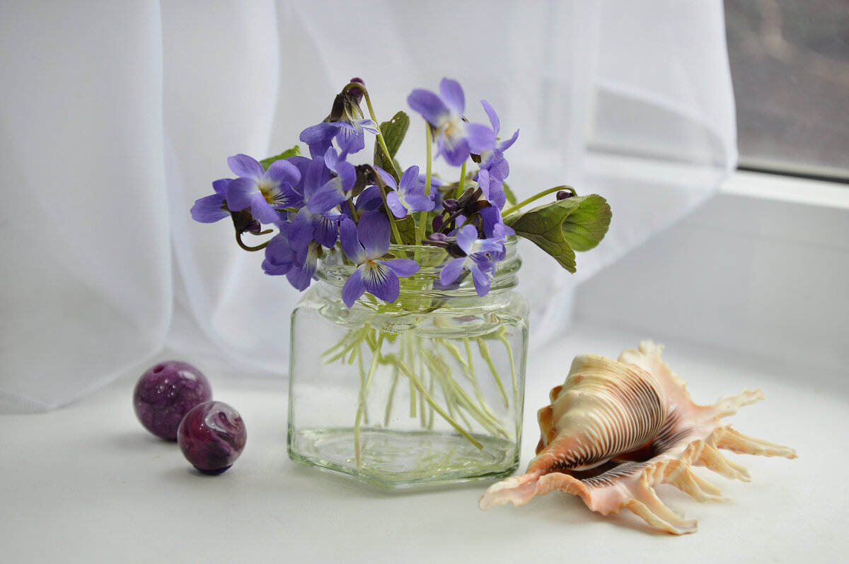 *** - Надежда Куркина *** - Надежда Куркина