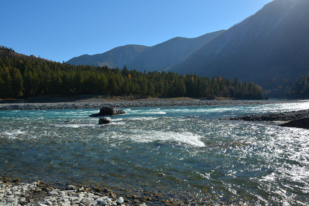 Устье Урсула - Валерий Медведев Устье Урсула - Валерий Медведев
