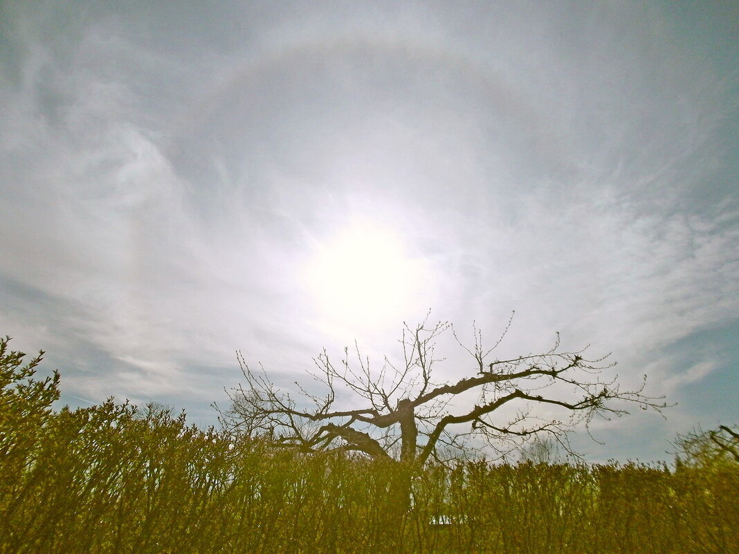 Гало - VasiLina * Гало - VasiLina *