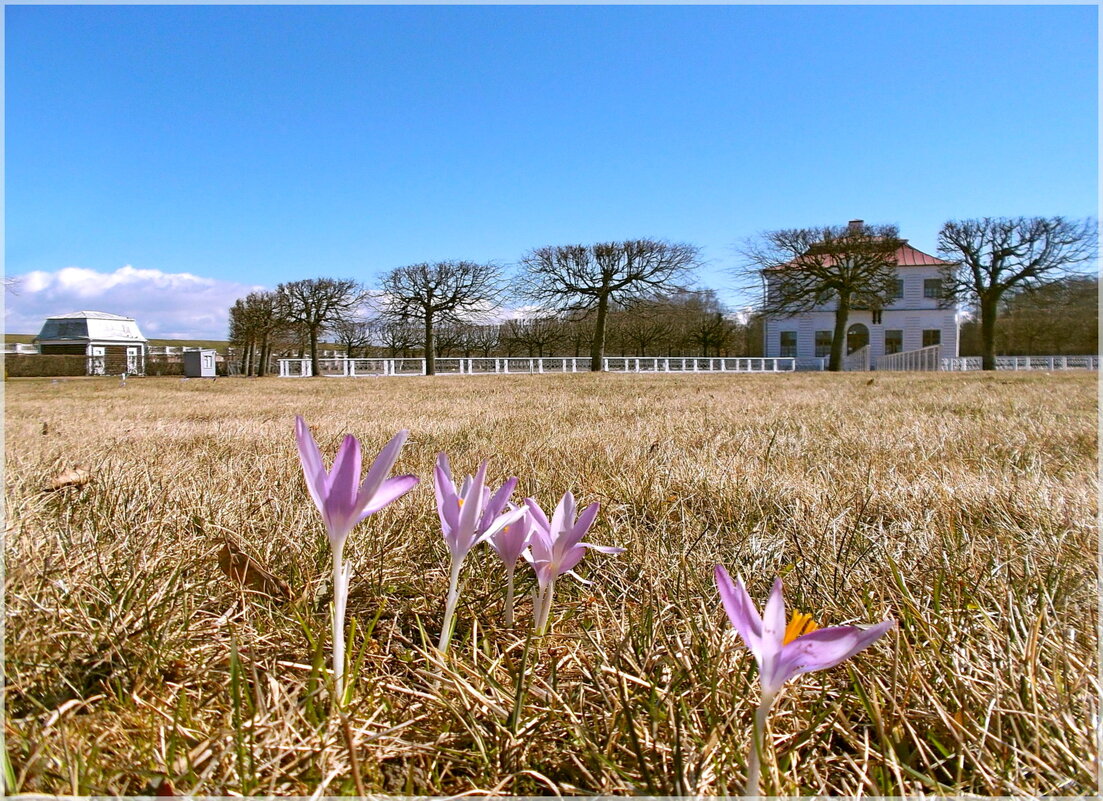 Весна! - VasiLina * Весна! - VasiLina *