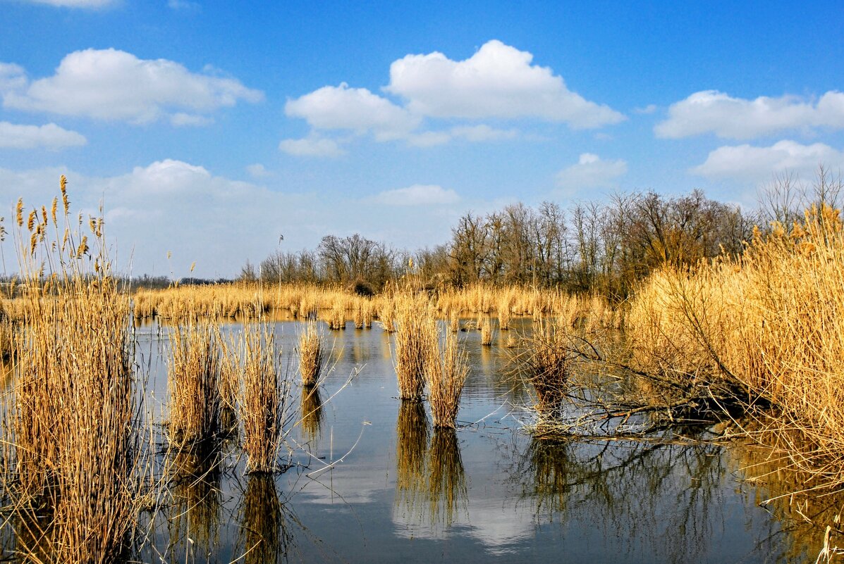 Весна. - Владимир 