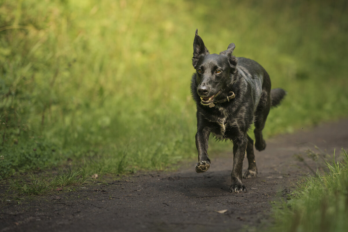 Друг - Максим Вышарь Друг - Максим Вышарь