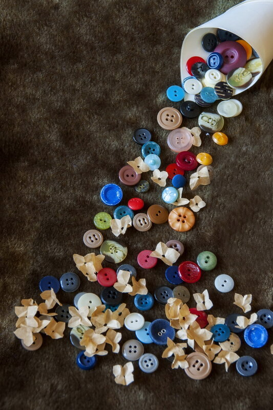 ... - Елена Пономарева ... - Елена Пономарева