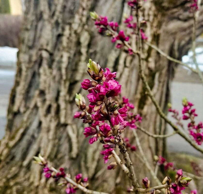 Красота начинается. - Галина Бобкина