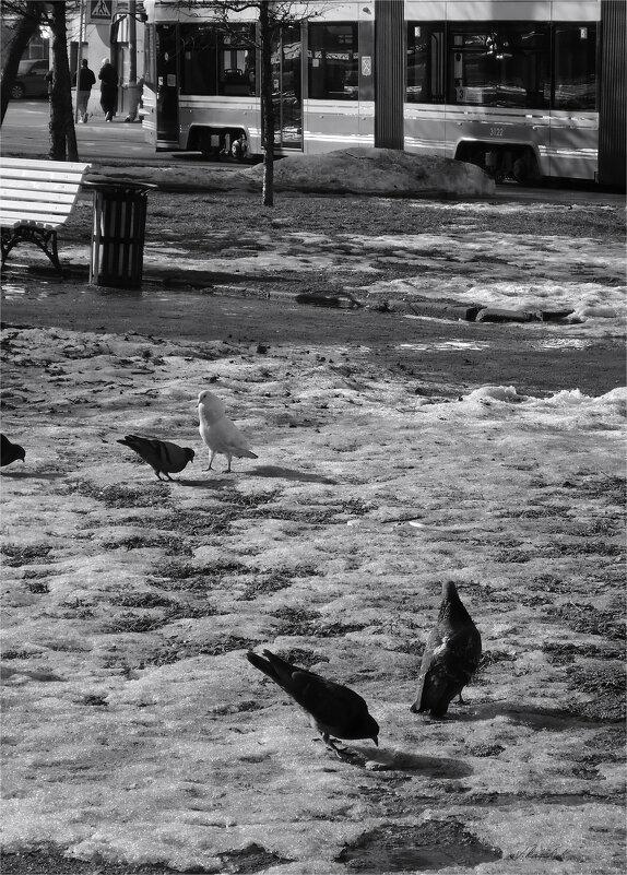 поедем, красотка, кататься - sv.kaschuk 